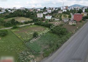 İlkadım Kıranda 762 M2 Yola Cephe Köşe Parsel Arsa