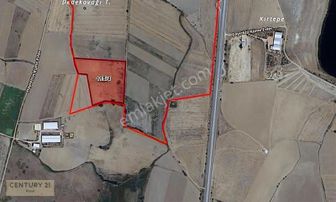 Acil Satılık 82 Dönüm