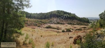 Antalya Aksu Kayadibi'nde 54.680 M² Satılık Tarla