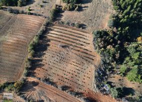 Afyon Dazkırında Üzerindeki Ürün Fiyatına Satılık 2.541 M2 Arazi