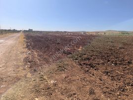 Ağızhan Havaalanı Acil Arsa