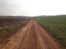 Ağızhan Havaalanı Acil Arsa