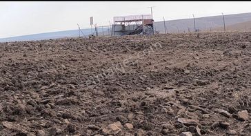 Ağızhanin Esentepesi Zirvesi Konum En Havadar