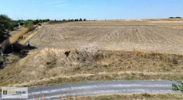 Silivri Alipaşa 10.320 M² Müstakil Tapu Teme 100m Cepheli Arazi