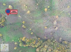 Elite Gd & Düzce Ketenciler Mah. Satılık 2.274 M² İmar Sınırında