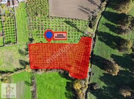 Elite Gd & Düzce'de Doğa İçerisinde Satılık Arsa