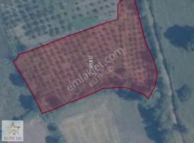 Elite Gd & Düzce'de Doğa İçerisinde Satılık Arsa