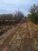 Hüyük Yenice Mah. Göl Manzaralı,sulama Kanallı Anayola 120 M