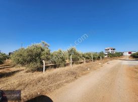 Realty World Anka'dan Yeryüzü Kolleji Yakını 500m² 60 Emsal Arsa