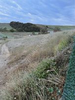 Akkaya İnşaattan Çorlu Türkücüde 2.900m2 Bağ Yeri