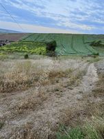 Akkaya İnşaattan Çorlu Türkücüde 2.900m2 Bağ Yeri