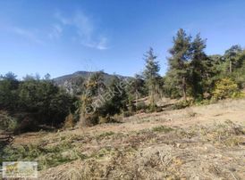 Çamlıyayla Belçınarda Satılık Kupon Tarla 6.263 M²