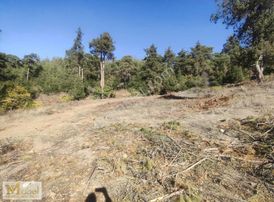 Çamlıyayla Belçınarda Satılık Kupon Tarla 6.263 M²