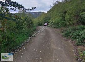 Bulut Emlak Uğurluda Satılık 1013 M2 Çalılık Arsa