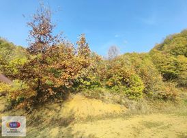 Tig'den Kocakonakta Satılık Tarla