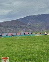 Klass Emlaktan Merzifonda Satılık Havuzlu Hobi Bahçeleri