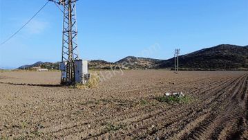 Dikili Merkeze 5 Dakika Elektrik Su Yol Var Emsallerinin Altında