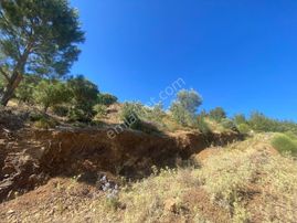 🟥 Aktiften Kırtıkta Köy Yerleşkesi İçerisinde Yer Alan Deniz Ve Doğa Manzaralı Satılık Arsa✔