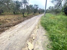 🟨🟨aktif'ten Burhaniye Pelitköy'de Satılık 350m2 Konut İmarlı Arsa 🟨🟨