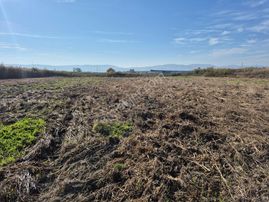 Erkan Anbar Dan Satılık Tarla Suluova