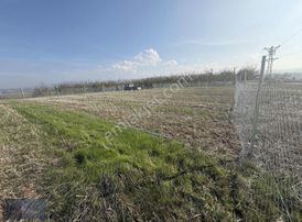 Royal Office Den Yenişehir Akbıyık Da 525m2 Satılık Hobi Bahçesi