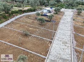 Kemalpaşa Yukarı Kızılca Kooperatif Arsası