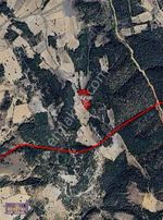 Kütahya Da 9706 M2 Yatırımlık Fırsat Tarla