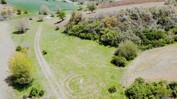 Keskin Emlak'tan Orman İçinde Kadastral Yolu Mevcut 2035m² Tarla