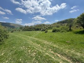 Keskin Emlak'tan Orman İçinde Kadastral Yolu Mevcut 2035m² Tarla