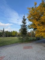 Efa'dan Erkmenin Müthiş Konumunda Bakımlı Kış Bahçeli Arazi