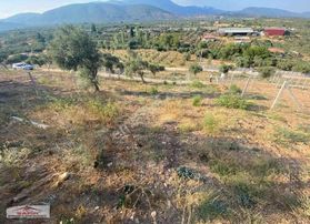 Safir'den Uygun Fiyatlı Tarla