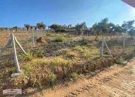 Safir'den Uygun Fiyatlı Tarla