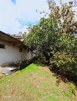 Düzce Cumayeri Hamascik Ta Satılık Ev / Arsa Ve Ahır