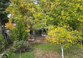 Mirac Emlaktan Tavas Yaka Da 1 Dönüm Hobi Bahçemiz Satılıktır