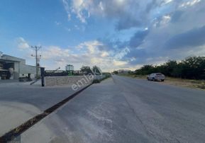 Edirne Uzunköprü Salarlı Yolunda Satılık Bakımlı Ceviz Bahçesi