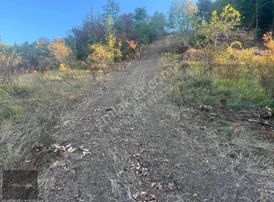 İnegöl Hayriye'de 14 Dönüm Satılık Tarla