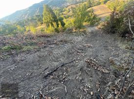 İnegöl Hayriye'de 14 Dönüm Satılık Tarla