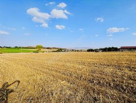 Nova Kahramankazan'dan Yolu Olan Manzaralı Tek Tapu Parsel