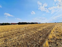 Nova Kahramankazan'dan Yolu Olan Manzaralı Tek Tapu Parsel