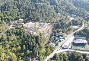 Tarcanlar'dan Doğanın Kalbi Sapanca'da 10 Dönüm Satılık Arsa