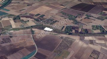 Karacabey Harmanlı'da Fırsat 5 Dönüm Tarla