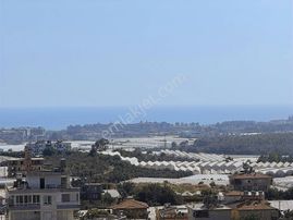 Alanya Payallar Satılık Lüx 2+1 Dubleks Ayrı Mutfak Daire