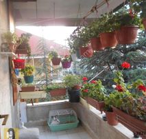 Ankara Çankay Balgat Oğuzlarda 2+1 Ön Cepe