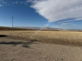 E.gökal Ovacık ! Yola Cepheli 18.103 M2 Ekilebilir Tarla Yatırım