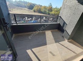 Kayapa Çamlık Bölgesinde Sıfır 2+1 Daireler