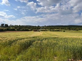 Sahibinden Kapanmaz Saros Adalar Manzaralı Arazi
