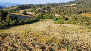 Turpa Heykel'den Salihli Kurttutanda Emsallerinin Altında Tarla