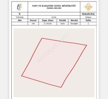 Çorlu Şahbaz Mahallesi'nde 21.100 M² Yatırımlık Tarla.