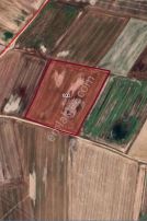 Çorlu Şahbaz Mahallesi'nde 21.100 M² Yatırımlık Tarla.