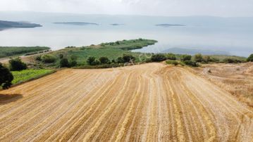 Burhan Ardıç'tan Karacabey Eskikaraağaç 11.100 M2 Göl Kıyısı